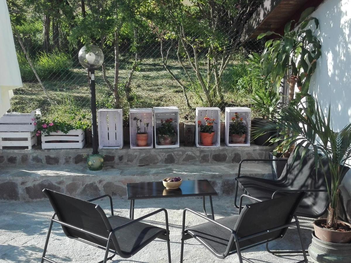 La Casa Nel Sole Apartment Alessandria Luaran gambar