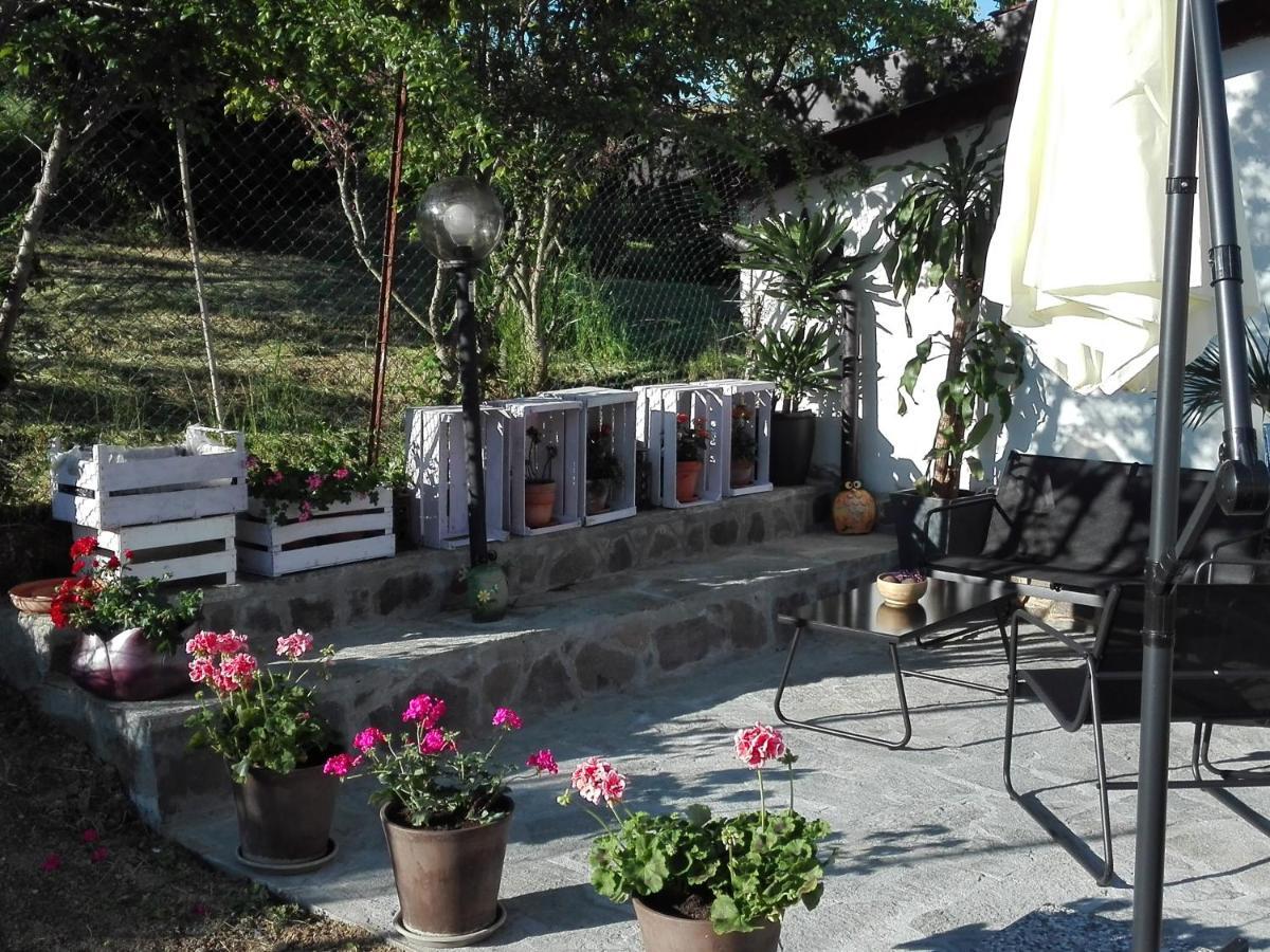 La Casa Nel Sole Apartment Alessandria Luaran gambar